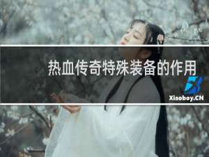 热血传奇特殊装备的作用