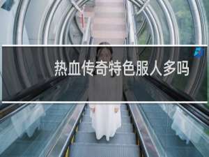热血传奇特色服人多吗