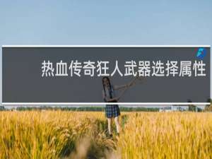 热血传奇狂人武器选择属性