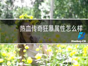 热血传奇狂暴属性怎么样