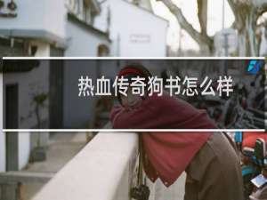 热血传奇狗书怎么样