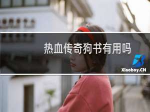 热血传奇狗书有用吗