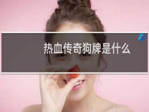 热血传奇狗牌是什么