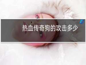 热血传奇狗的攻击多少