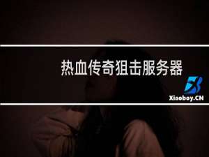 热血传奇狙击服务器