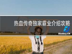 热血传奇独家霸业介绍攻略