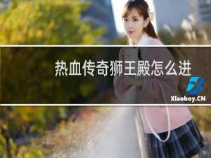 热血传奇狮王殿怎么进