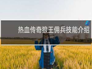热血传奇狼王佣兵技能介绍