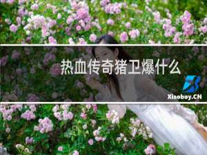 热血传奇猪卫爆什么