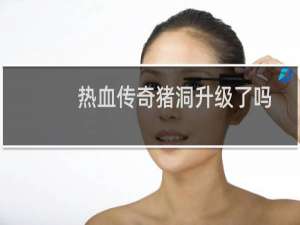 热血传奇猪洞升级了吗