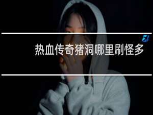 热血传奇猪洞哪里刷怪多