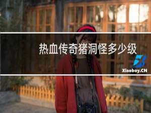 热血传奇猪洞怪多少级