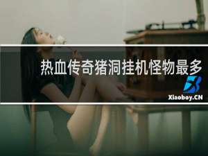 热血传奇猪洞挂机怪物最多