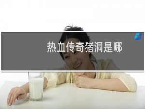 热血传奇猪洞是哪