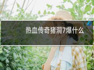 热血传奇猪洞7爆什么