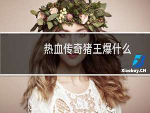 热血传奇猪王爆什么