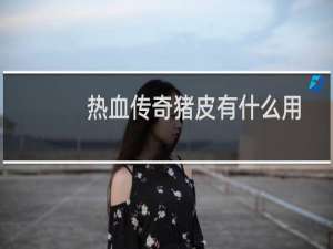 热血传奇猪皮有什么用