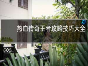 热血传奇王者攻略技巧大全