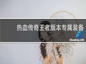 热血传奇王者版本专属装备