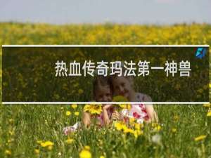 热血传奇玛法第一神兽