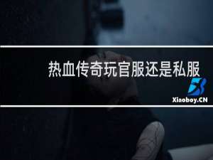 热血传奇玩官服还是私服
