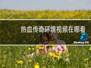 热血传奇环境视频在哪看