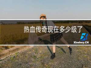 热血传奇现在多少级了