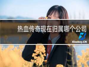 热血传奇现在归属哪个公司