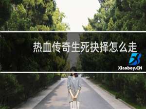 热血传奇生死抉择怎么走