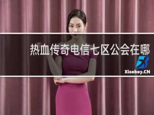 热血传奇电信七区公会在哪