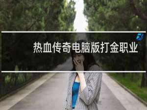 热血传奇电脑版打金职业