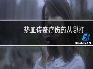 热血传奇疗伤药从哪打
