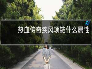 热血传奇疾风项链什么属性