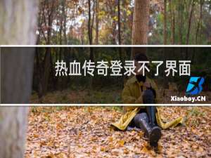 热血传奇登录不了界面