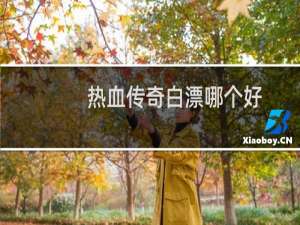热血传奇白漂哪个好