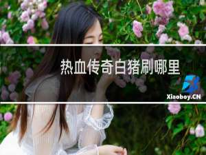 热血传奇白猪刷哪里