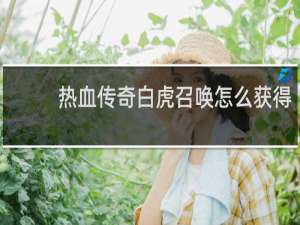 热血传奇白虎召唤怎么获得