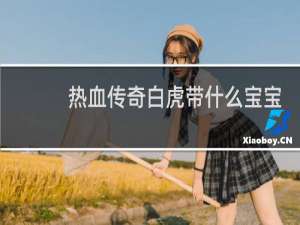 热血传奇白虎带什么宝宝