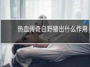 热血传奇白野猪出什么作用