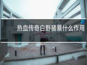 热血传奇白野猪暴什么作用