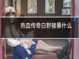 热血传奇白野猪暴什么
