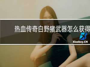 热血传奇白野猪武器怎么获得