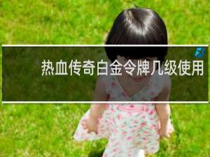 热血传奇白金令牌几级使用