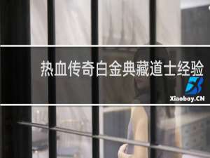 热血传奇白金典藏道士经验