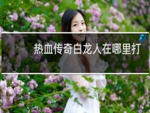 热血传奇白龙人在哪里打