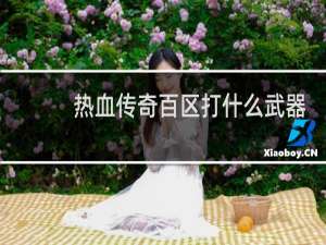 热血传奇百区打什么武器