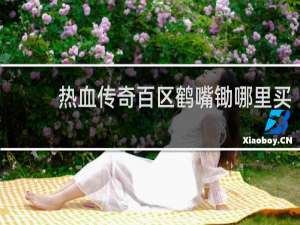 热血传奇百区鹤嘴锄哪里买