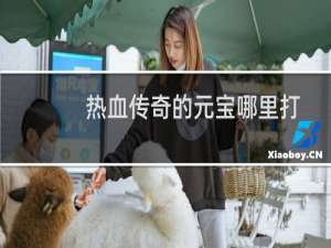热血传奇的元宝哪里打