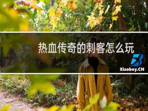 热血传奇的刺客怎么玩
