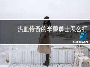 热血传奇的半兽勇士怎么打